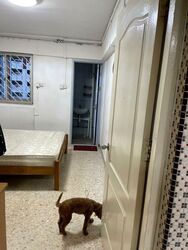 Blk 533 Bedok North Street 3 (Bedok), HDB 3 Rooms #525681211